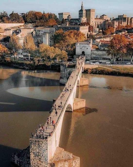 Le Saint-Lazare Appartement Au Calme Intra Muros Avignon Bagian luar foto